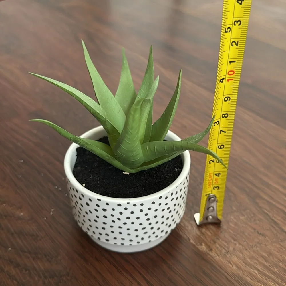 Design Group Faux Plant Size OS Color White Green Black